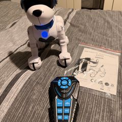 Ziggy the Robo Dog