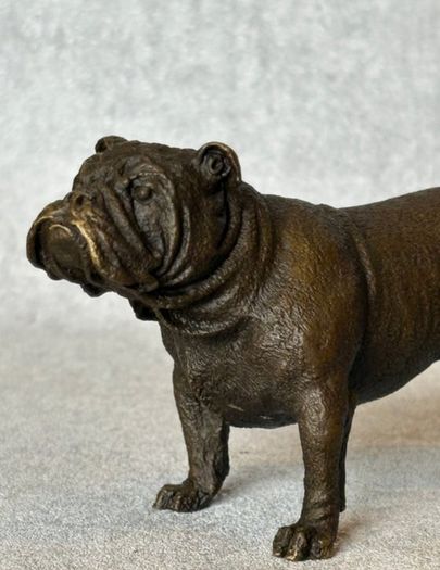 Bulldog - Cold Painted Bronze, Signed