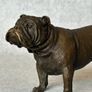 Bulldog - Cold Painted Bronze, Signed Image 2