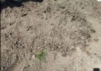 Top soil