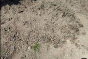 Top soil