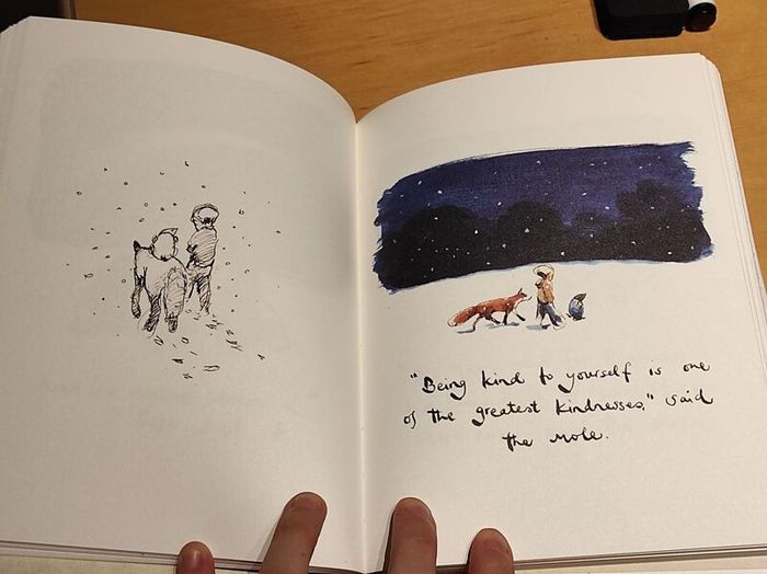 Illustrated book: The boy, the mole, the fox, and the horse