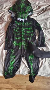 dinosaur outfit (2-3 years)