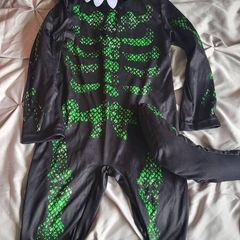dinosaur outfit (2-3 years)