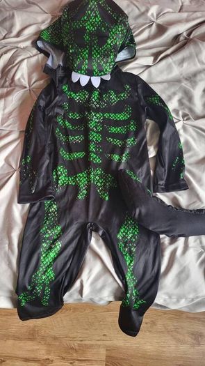 dinosaur outfit (2-3 years)