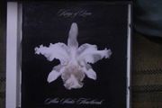 Kings Of Leon - Aha Shake Heartbreak CD