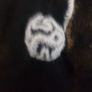 Avoca Cropped Cardigan Size 16 Image 3