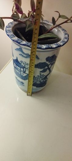 vases