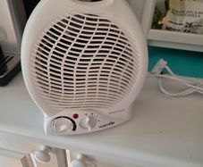 Electric fan heater