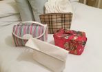 Vanity Bags/Makeup Bags/Toiletries Bags