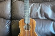 Barnes and Mullins Ukulele with hardcase