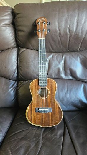 Barnes and Mullins Ukulele with hardcase