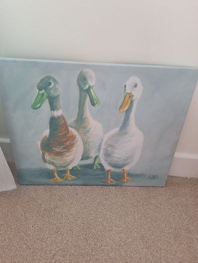 Picture, Ducks