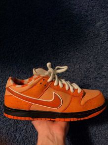 Nike SB Orange lobster