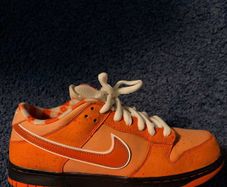Nike SB Orange lobster
