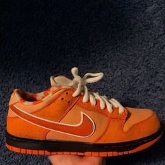 Nike SB Orange lobster
