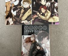 Bungo Stray Dogs Vol 1-3 Light novel English