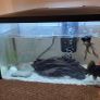 Aquarium Image 2