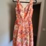 Damsel in a dress - Delivery Image 2