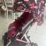 buggy Image 2