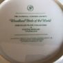 Vintage Franklin Porcelian woodland birds of the world 10 inch decorative plates Image 10