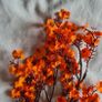 Artificial Full Star/Babysbreath Flowers X 4 Image 3