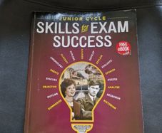 junior cert history skills for exam success