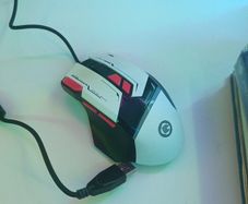 Mouse