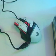 Mouse