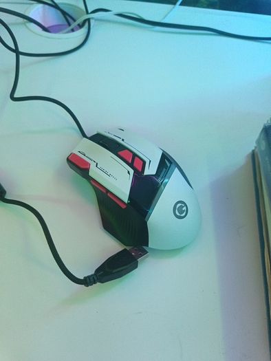 Mouse