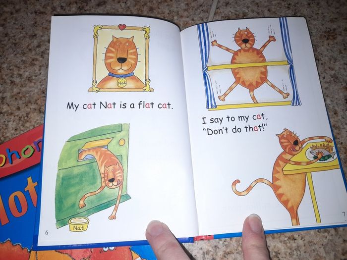 Children's phonics books and cd x2