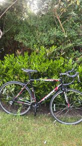 TREK 55cm red/black Claris Groupset
