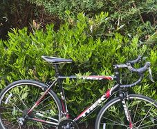 TREK 55cm red/black Claris Groupset