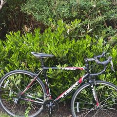 TREK 55cm red/black Claris Groupset