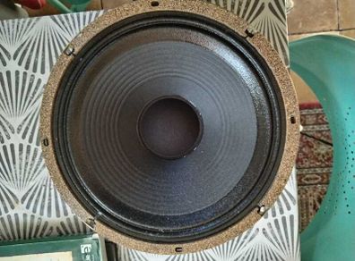 Guitar Amp Speaker