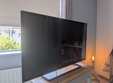 Panasonic Flat Screen Television
