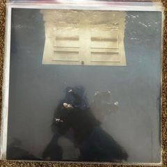 Billie Eilish Vinyl