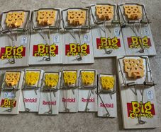 Mouse and Rat Traps