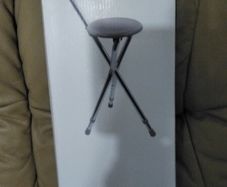 Mobility walking stick