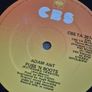Adam and the Ants /Adam Ant collection Image 8