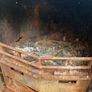 Stove solid fuel Charnwood multi fuel country 16b Image 4