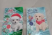 Magic Animal Friends books x 2