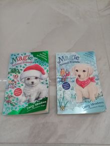 Magic Animal Friends books x 2