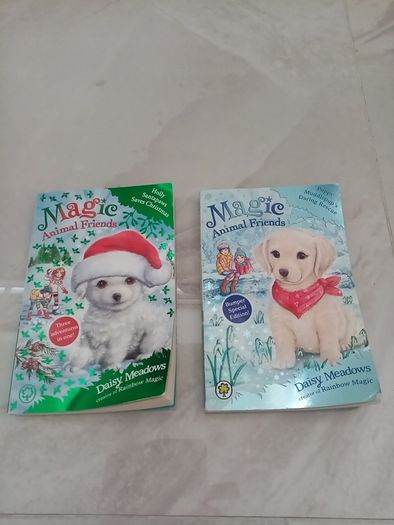 Magic Animal Friends books x 2