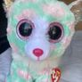 New Beanie TY Cat named Opal Image 3