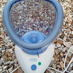 Professional facial sauna