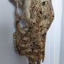 Carved Brown Bull Skull Image 3