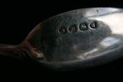 Antique Sterling Silver Spoon L-5" 15,6g