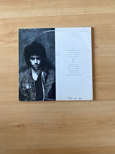 vinyl / record  / album