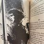 Fire Wolf (Sagas of the Demonspawn Book 1 - J.H. Brennan) Image 4